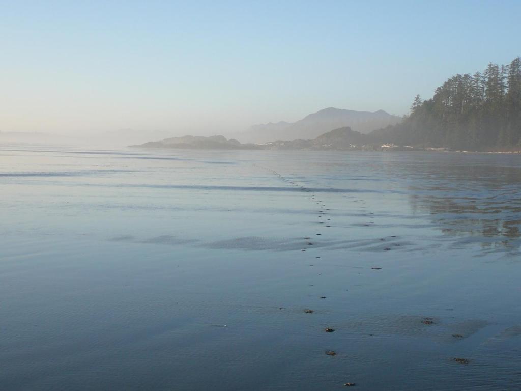 Appartement 203 At Water'S Edge à Ucluelet Extérieur photo